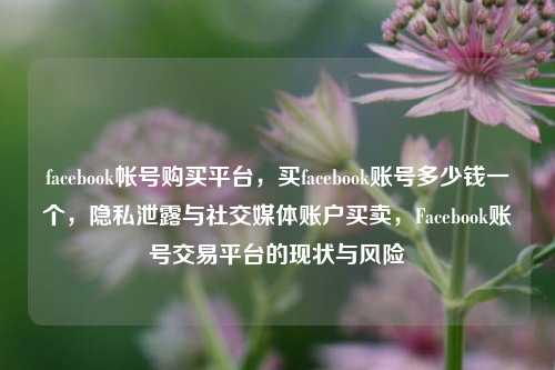 facebook帐号购买平台，买facebook账号多少钱一个，隐私泄露与社交媒体账户买卖，Facebook账号交易平台的现状与风险