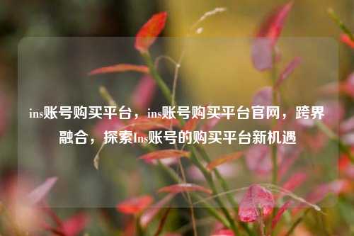 ins账号购买平台，ins账号购买平台官网，跨界融合，探索Ins账号的购买平台新机遇