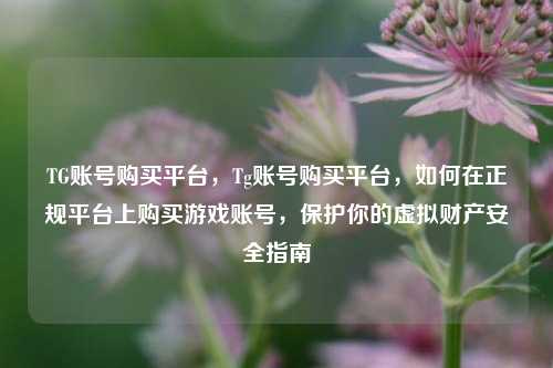 TG账号购买平台，Tg账号购买平台，如何在正规平台上购买游戏账号，保护你的虚拟财产安全指南