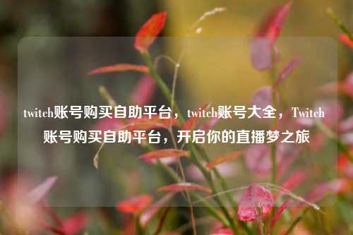 twitch账号购买自助平台，twitch账号大全，Twitch 账号购买自助平台，开启你的直播梦之旅