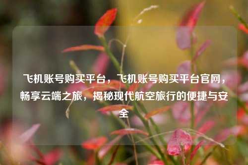 飞机账号购买平台，飞机账号购买平台官网，畅享云端之旅，揭秘现代航空旅行的便捷与安全