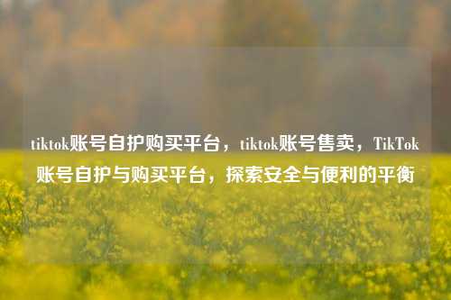 tiktok账号自护购买平台，tiktok账号售卖，TikTok账号自护与购买平台，探索安全与便利的平衡
