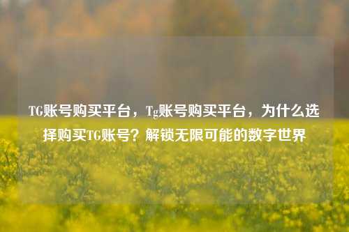 TG账号购买平台，Tg账号购买平台，为什么选择购买TG账号？解锁无限可能的数字世界