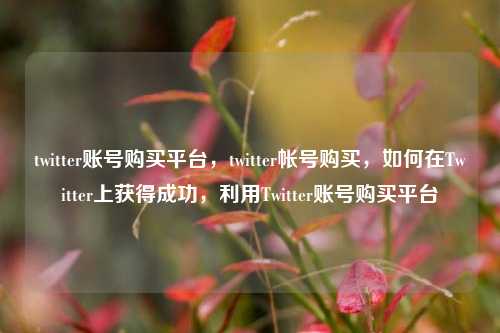 twitter账号购买平台，twitter帐号购买，如何在Twitter上获得成功，利用Twitter账号购买平台
