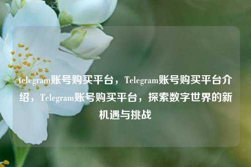 telegram账号购买平台，Telegram账号购买平台介绍，Telegram账号购买平台，探索数字世界的新机遇与挑战