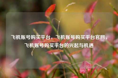 飞机账号购买平台，飞机账号购买平台官网，飞机账号购买平台的兴起与机遇