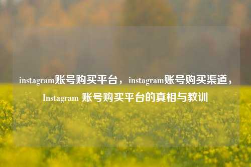 instagram账号购买平台，instagram账号购买渠道，Instagram 账号购买平台的真相与教训