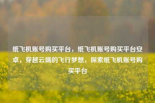 纸飞机账号购买平台，纸飞机账号购买平台安卓，穿越云端的飞行梦想，探索纸飞机账号购买平台