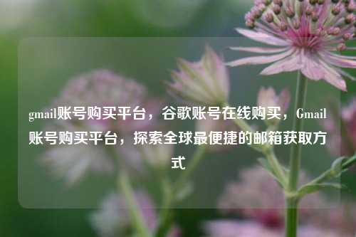 gmail账号购买平台，谷歌账号在线购买，Gmail账号购买平台，探索全球最便捷的邮箱获取方式