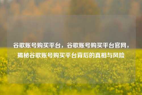 谷歌账号购买平台，谷歌账号购买平台官网	，揭秘谷歌账号购买平台背后的真相与风险  第1张