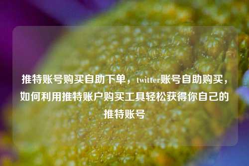 推特账号购买自助下单，twitter账号自助购买，如何利用推特账户购买工具轻松获得你自己的推特账号