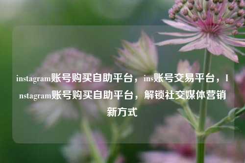 instagram账号购买自助平台，ins账号交易平台，Instagram账号购买自助平台，解锁社交媒体营销新方式
