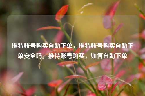 推特账号购买自助下单，推特账号购买自助下单安全吗，推特账号购买	，如何自助下单  第1张