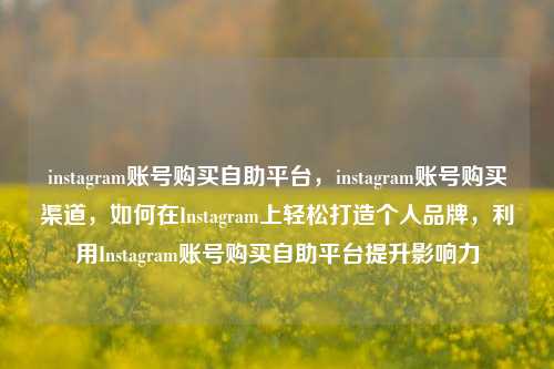instagram账号购买自助平台，instagram账号购买渠道，如何在Instagram上轻松打造个人品牌，利用Instagram账号购买自助平台提升影响力