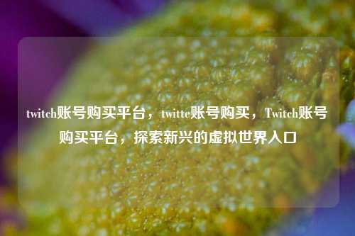 twitch账号购买平台，twitte账号购买，Twitch账号购买平台，探索新兴的虚拟世界入口